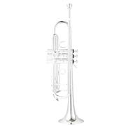 Trumpet Instruments Trumpet Instrument B Flat Adult Beautiful Instrument For Beginners To Play(D)