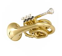 Trumpet Portable Palm Trumpet B Flat Brass Instrument Professional Performance