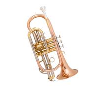 Trumpet Portable Trumpet In B Key Professional Beginner Band Performance Phosphor Bronze Material Gold Silver(Phosphor Bronze)