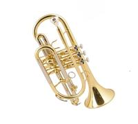 Trumpet Professional Bb Brass Cornet Instrument Silver