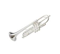 Trumpet Professional Silver Plated Trumpet In B Flat