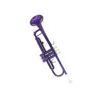 Trumpet Purple B trumpet brass tube student beginner professional playing brass instrument trumpet