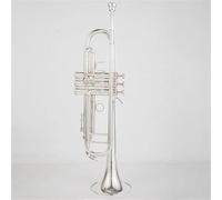 Trumpet Set 50th Anniversary Silver Trumpet Pipe Flat Instrument Brass Beginner Trumpet