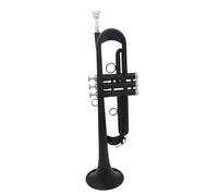 Trumpet Set Black Trumpet Brass Standard Bb Trumpet Set For SBeginner With Hard Case Gloves