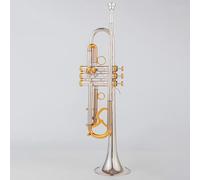 Trumpet Set Brass Bb Trumpet Instruments Surface Golden Silver Plated Professional Musical Instrument