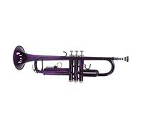 Trumpet Set, Brass Good Resonance B Flat Trumpets Full Tone with Storage Bag for Music Learning(Purple)