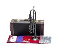 Trumpet Set Brass Trumpet Instrument Trumpet Flat Instrument Brass