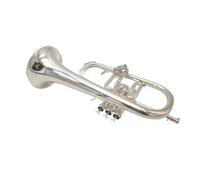 Trumpet Set Flugel Horn Sliver Covered B Flat Professional Trumpet Musical Instruments In Brass Trumpet Horn
