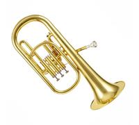 Trumpet Set for Alto Horn E Flat Trumpet Professional Musical Instrument Beginner Brass Full Tone Trumpet Standard