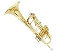 Trumpet Set for B Flat Trumpet Instrument Beginner Entry Level Monel Live Brass Durable Tone Standard