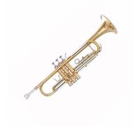 Trumpet Set for B Flat Trumpet Instrument Standard White Copper Timbre Professional Beginners Timbre Standard