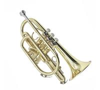 Trumpet Set for BB Flat B Short Trumpet Small Brass Instrument Professional Performance Level Short Trumpet Instrument