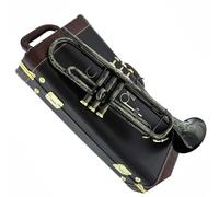 Trumpet Set for Bb Trumpet Black Nickel Gold Plated Yellow Brass Instruments Bb Trumpete Popular Musical Inst Full Sound