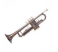 Trumpet Set for Bb Trumpet Black Nickel Gold Plated Yellow Brass Instruments Bb Trumpete Popular Musical Whole Tone