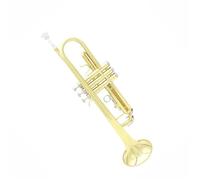 Trumpet Set for Bb Tune Trumpet Gold Plated Surface Musical Instrument Trumpet With Trumpet Case Protective Sleeve Parts
