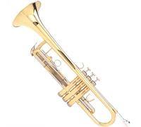Trumpet Set for Brass B Flat Trumpet Instrument Beginner Entry Alto Portable Durable Trumpet Professional