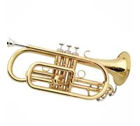 Trumpet Set for Cornet Instrument B Flat Trumpet Instrument Lacquered Gold Brass Portable Brass Standard Trumpet