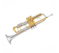 Trumpet Set for Intermediate White Copper Bb Trumpet Brass Stainless Steel Professional Standard Trumpet Musical Instrument