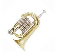 Trumpet Set for Musical Instrument Trumpet Flat Key Cornet Bb Flat Tune Brass Gold Three-button Rotary Valve Stainless Steel