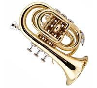 Trumpet Set for Palm Trumpet Portable B Flat Professional Musical Instrument Trumpet Beginner Adult Tone Standard