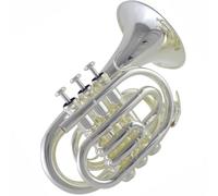 Trumpet Set for Portable Pocket Trumpet Musical Instrument B Flat Silver Plated Wind Instrument For Beginners To Learn And Durable