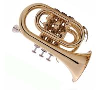 Trumpet Set for Portable Trumpet B Flat Palm Trumpet Pocket Cornet Brass Musical Instrument Adult Professional