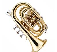 Trumpet Set for Portable Trumpet B Flat Pocket Cornet Brass Instrument Adult Stainless Steel Professional Musical Instrument