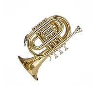 Trumpet Set for Professional Bb Mini Pocket Trumpet Instrument Gold Plated Brass Stainless Steel Standard Trumpet Full Tone