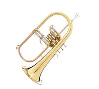 Trumpet Set for Professional Music Brass Flugel Horn Trumpet In The Key Of Bb Stainless Steel Standard Trumpet Instrument