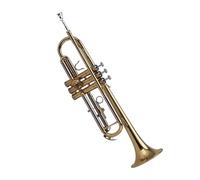 Trumpet Set for Professional Trumpet B-flat Trumpet Musical Instrument White Copper Pitch Tube Beginner