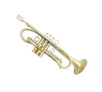 Trumpet Set for Professional Trumpet Bb Tune Brass Gold Plated Professional Music Instruments With Case Beginner