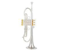 Trumpet Set for Professional Trumpet Bb Tune Brass Gold Plated Surface Professional Music Instruments With Case(Silver)