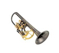 Trumpet Set for Rotary Valve Bb Trumpet B Flat Brass Black Nickel Gold Professional Trumpet Musical Instruments With Leather Case