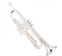 Trumpet Set for Silver-plated Beginner's Entry-level B-flat Trumpet Instrument Alto White Copper Trumpet Portable