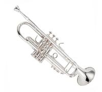 Trumpet Set for Silver Trumpet Pipe Flat Instrument Brass Strudents Instrumentos Musicales Profesional Bb Trumpet