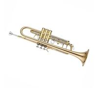 Trumpet Set for Small Monel Piston B Flat Tune Beginner Small Double Drain Valve Brass Professional