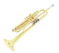 Trumpet Set for Trumpet B Flat Brass Beginner Adult Wind Instrument Trumpet Professional Portable Full Tone(PhosphorBronze)