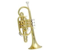 Trumpet Set for Trumpet Cornet Musical Instrument Professional Brass Body B Flat Lacquered Gold Trumpet Adult Beginner