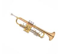 Trumpet Set for Trumpet Instrument B Flat Phosphor Copper White Copper Variable Pipe Professional Brass Stainless Steel Rich Tone