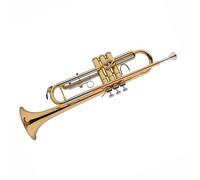 Trumpet Set for Trumpet Instrument B Flat Trumpet Phosphor Copper White Copper Beginner Portable Tone Standard