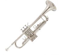 Trumpet Set for Trumpet Instrument Beginner B Flat Professional Brass Phosphor Copper Durable Exquisite Trumpet