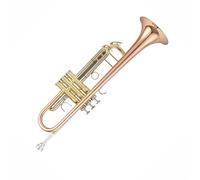 Trumpet Set for Trumpet Musical Instrument B Flat Adult Beginner Professional Brass Entry Standard Trumpet Durable(PhosphorusBronze)