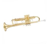 Trumpet Set for Trumpet Musical Instrument B Flat Adult Beginner Professional Brass Entry Standard Trumpet Durable(Gold)