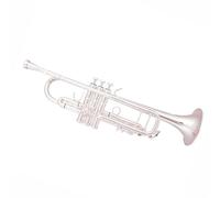 Trumpet Set for Trumpet Musical Instrument B Flat Adult Beginner Professional Brass Entry Standard Trumpet Durable(Silver)