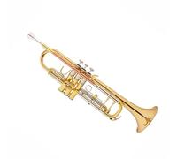 Trumpet Set for Trumpet Musical Instrument B Flat Monel Piston Phosphor Bronze Professional Brass White Copper Standard Trumpet