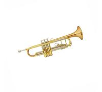 Trumpet Set for Trumpet Musical Instrument B Flat Phosphor Copper/brass/nickel Copper Tube Universal Professional Beginner Trumpet