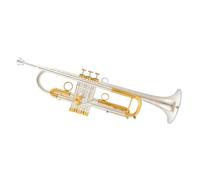 Trumpet Set for Trumpet Retro Copper B Flat Trumpete Case Accessories Standard Beginner Trumpet