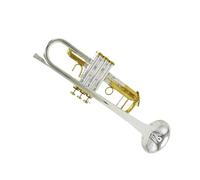 Trumpet Set for Trumpet Silver Trumpet Pipe Flat Instrument Brass Standard Professional Trumpet Instrument Durable