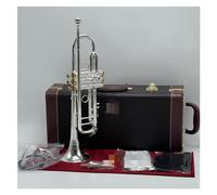 Trumpet Set Silver trumpet flat instrument brass student