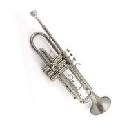 Trumpet Set Trumpet Brass Instrument Super Trumpet Professional Gold Silver Beginner B Flat(Color:Silver)